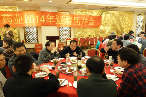 中國最早專業(yè)生產膠囊制劑企業(yè)|鹽酸二甲雙胍片